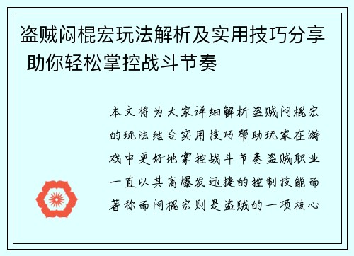 盗贼闷棍宏玩法解析及实用技巧分享 助你轻松掌控战斗节奏